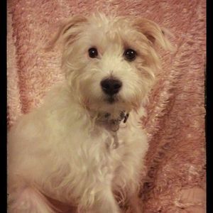 Meet your Posher, Bobbi